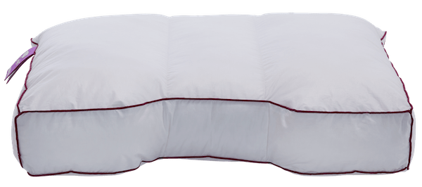 Silvana Comfort Purple Slightly Soft Pillow
