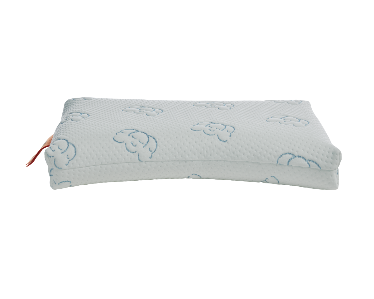Silvana Flex Orange Pillow (Soft)